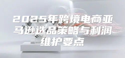 2025年跨境电商亚马逊选品策略与利润维护要点