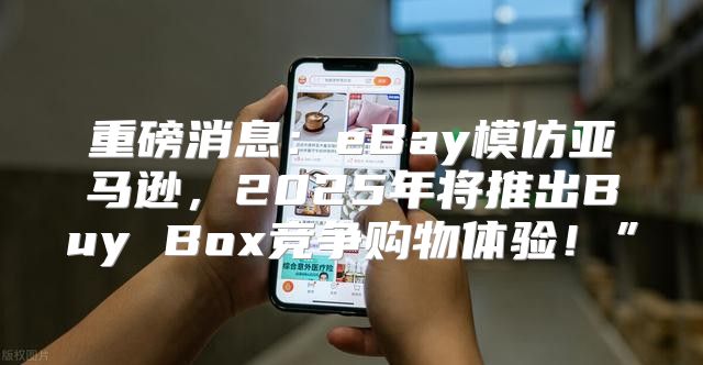 重磅消息：eBay模仿亚马逊，2025年将推出Buy Box竞争购物体验！”