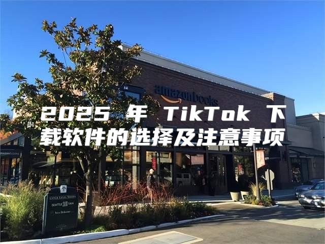 2025 年 TikTok 下载软件的选择及注意事项