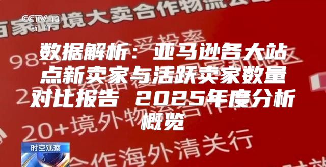 数据解析：亚马逊各大站点新卖家与活跃卖家数量对比报告 2025年度分析概览