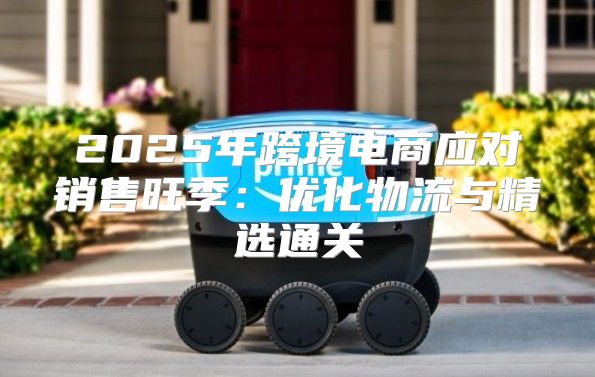 2025年跨境电商应对销售旺季：优化物流与精选通关