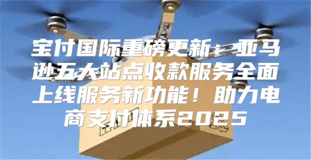 宝付国际重磅更新：亚马逊五大站点收款服务全面上线服务新功能！助力电商支付体系2025