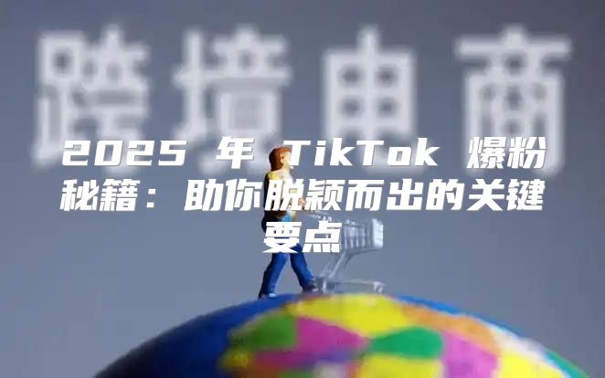 2025 年 TikTok 爆粉秘籍：助你脱颖而出的关键要点