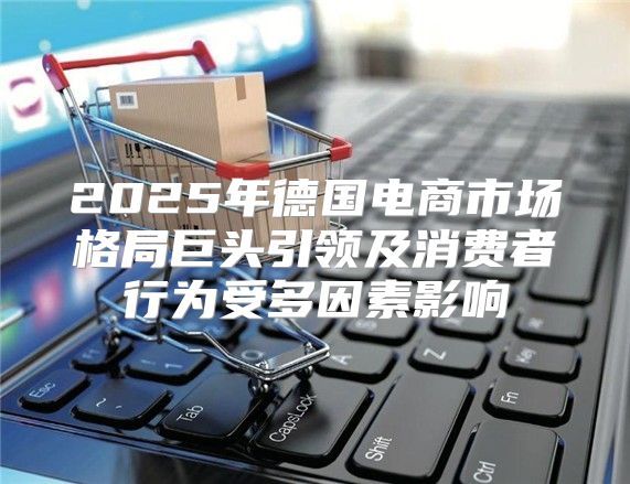 2025年德国电商市场格局巨头引领及消费者行为受多因素影响