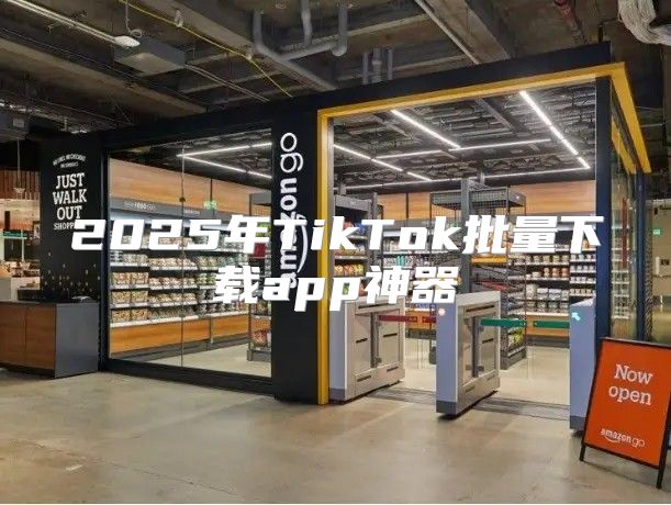 2025年TikTok批量下载app神器