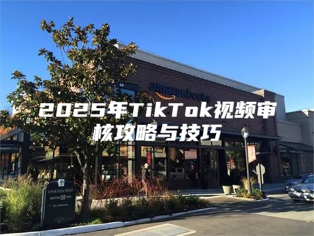 2025年TikTok视频审核攻略与技巧