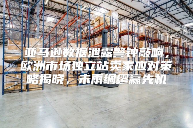 亚马逊数据泄露警钟敲响，欧洲市场独立站卖家应对策略揭晓，未雨绸缪赢先机