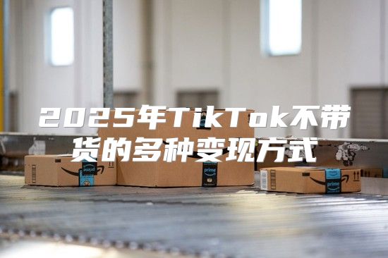 2025年TikTok不带货的多种变现方式