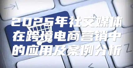 2025年社交媒体在跨境电商营销中的应用及案例分析