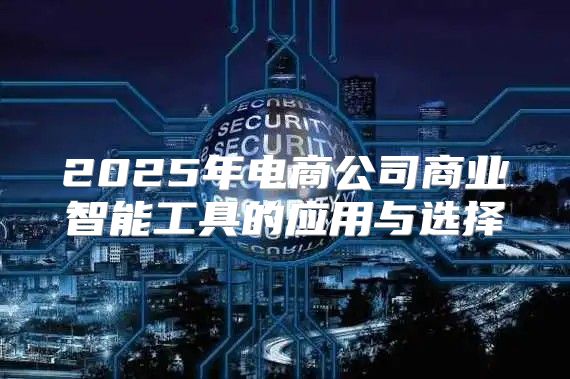 2025年电商公司商业智能工具的应用与选择