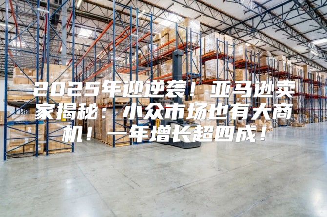 2025年迎逆袭！亚马逊卖家揭秘：小众市场也有大商机！一年增长超四成！