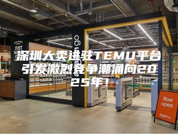 深圳大卖进驻TEMU平台引发激烈竞争潮涌向2025年！