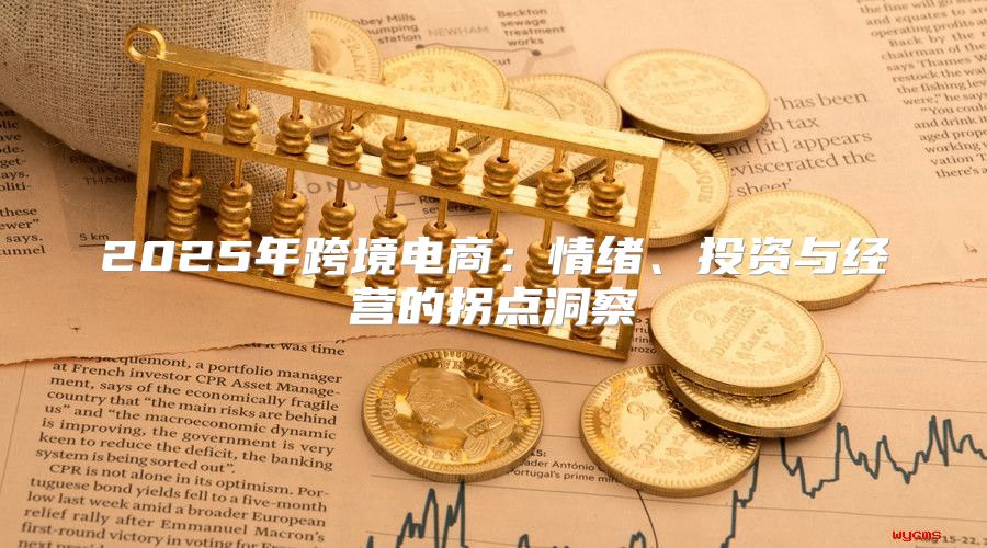2025年跨境电商：情绪、投资与经营的拐点洞察