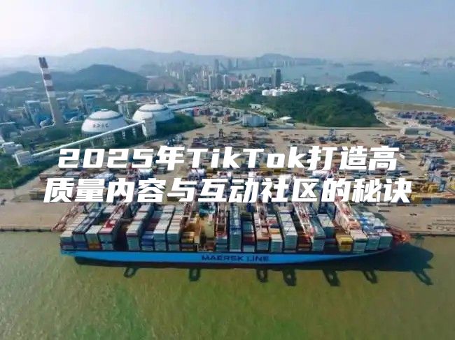 2025年TikTok打造高质量内容与互动社区的秘诀
