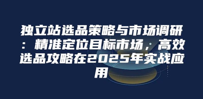 独立站选品策略与市场调研：精准定位目标市场，高效选品攻略在2025年实战应用