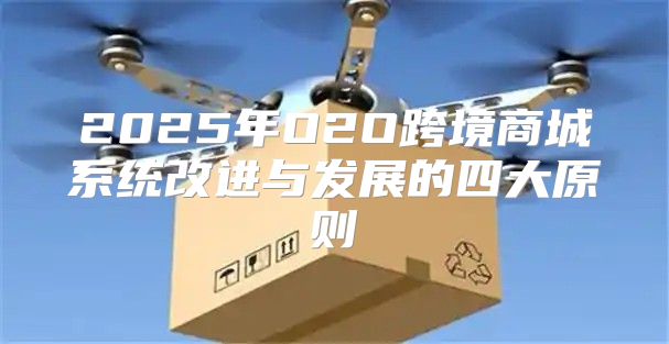 2025年O2O跨境商城系统改进与发展的四大原则