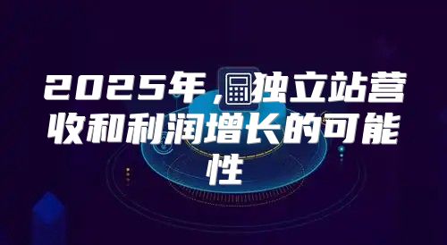 2025年，独立站营收和利润增长的可能性