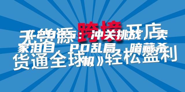2025冲关挑战，卖家泪目，PD乱局，暗藏杀机