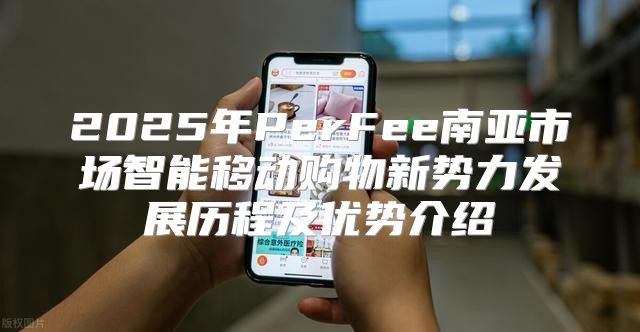 2025年PerFee南亚市场智能移动购物新势力发展历程及优势介绍