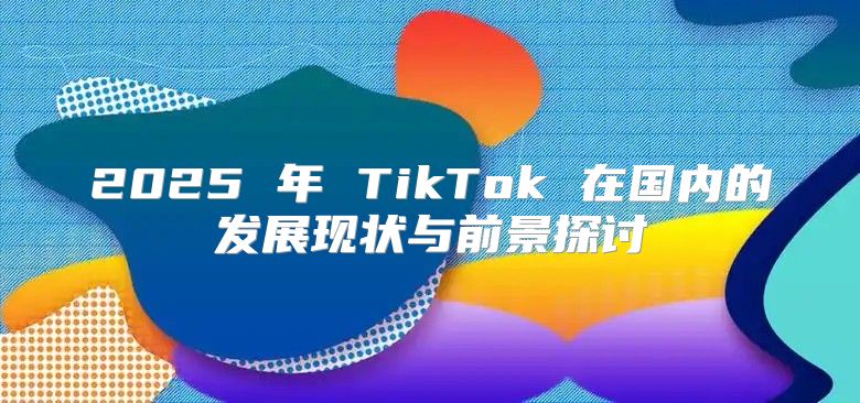 2025 年 TikTok 在国内的发展现状与前景探讨