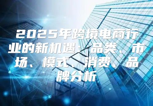 2025年跨境电商行业的新机遇：品类、市场、模式、消费、品牌分析
