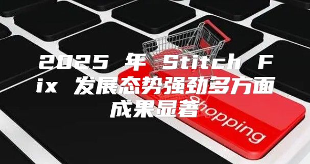 2025 年 Stitch Fix 发展态势强劲多方面成果显著