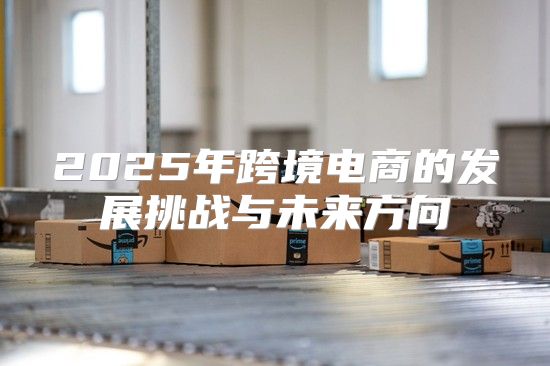 2025年跨境电商的发展挑战与未来方向