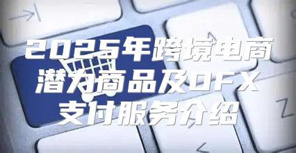 2025年跨境电商潜力商品及OFX支付服务介绍