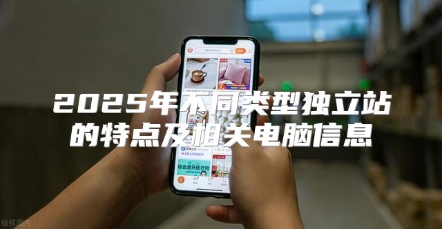 2025年不同类型独立站的特点及相关电脑信息