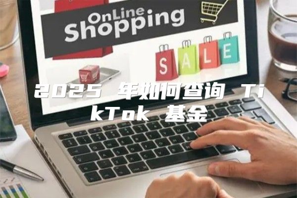 2025 年如何查询 TikTok 基金