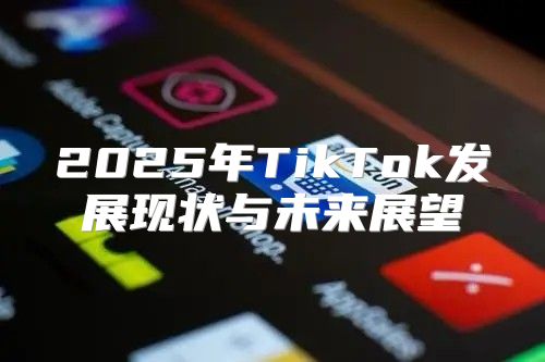 2025年TikTok发展现状与未来展望