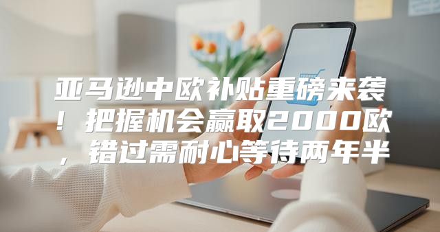 亚马逊中欧补贴重磅来袭！把握机会赢取2000欧，错过需耐心等待两年半