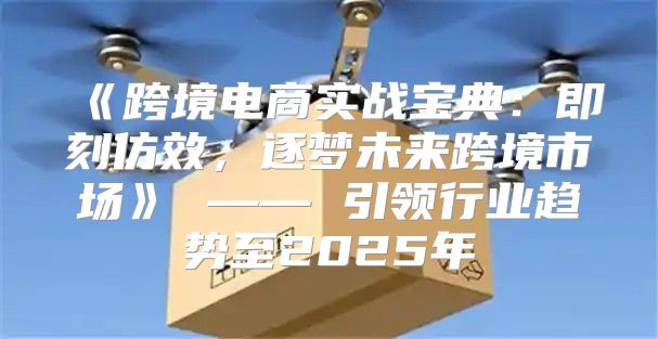 跨境电商实战宝典：即刻仿效，逐梦未来跨境市场——引领行业趋势至2025年