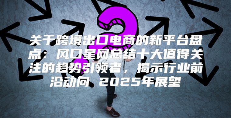 关于跨境出口电商的新平台盘点：风口星网总结十大值得关注的趋势引领者，揭示行业前沿动向 2025年展望