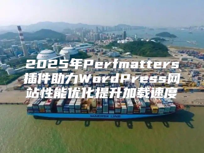 2025年Perfmatters插件助力WordPress网站性能优化提升加载速度