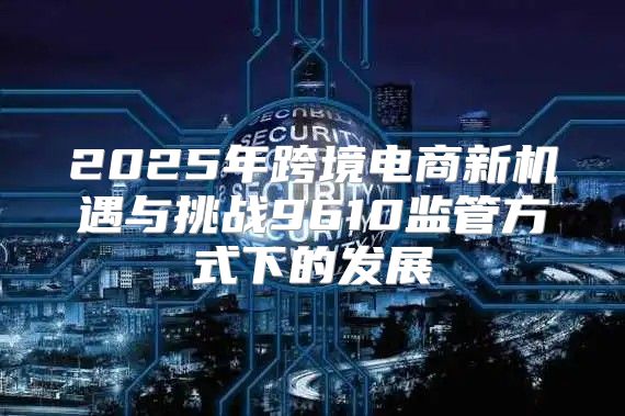 2025年跨境电商新机遇与挑战9610监管方式下的发展