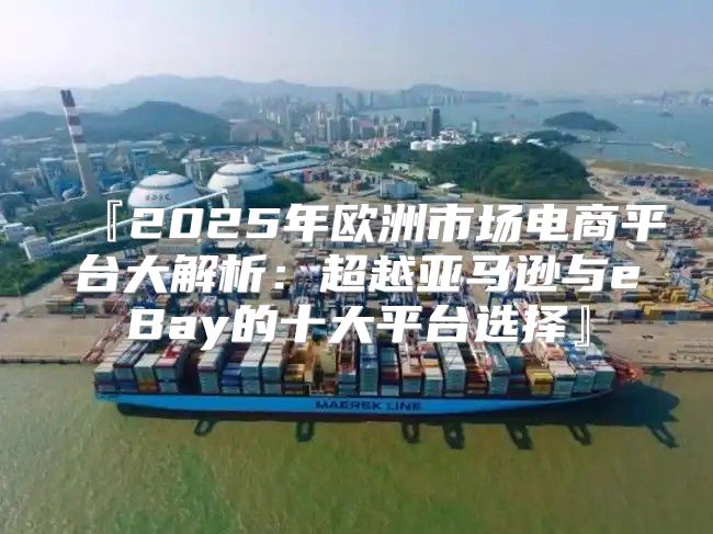 『2025年欧洲市场电商平台大解析：超越亚马逊与eBay的十大平台选择』