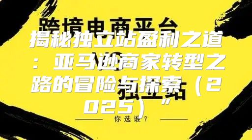 揭秘独立站盈利之道：亚马逊商家转型之路的冒险与探索2025”