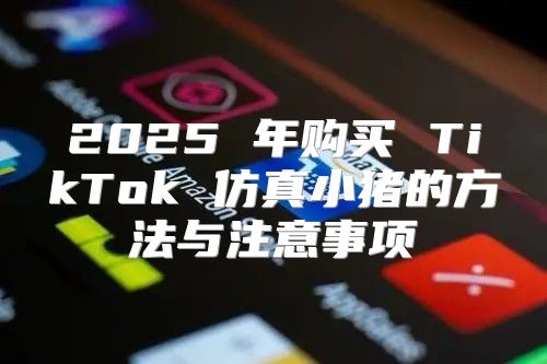 2025 年购买 TikTok 仿真小猪的方法与注意事项