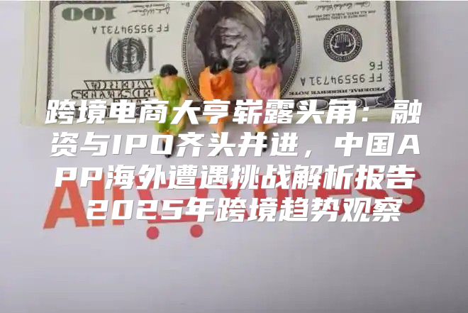 跨境电商大亨崭露头角：融资与IPO齐头并进，中国APP海外遭遇挑战解析报告 2025年跨境趋势观察