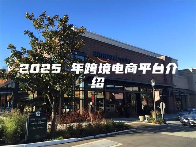 2025 年跨境电商平台介绍
