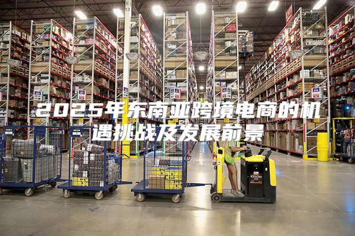 2025年东南亚跨境电商的机遇挑战及发展前景