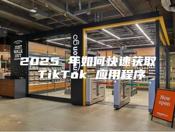 2025 年如何快速获取 TikTok 应用程序