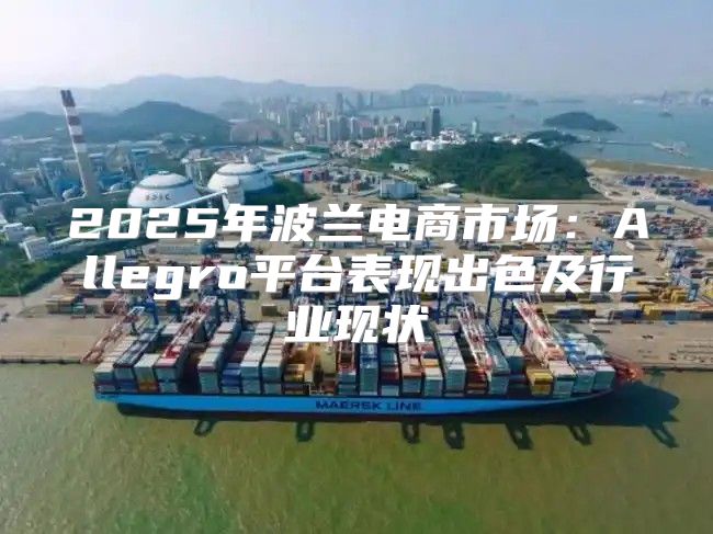 2025年波兰电商市场：Allegro平台表现出色及行业现状