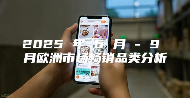 2025 年 6 月 - 9 月欧洲市场畅销品类分析