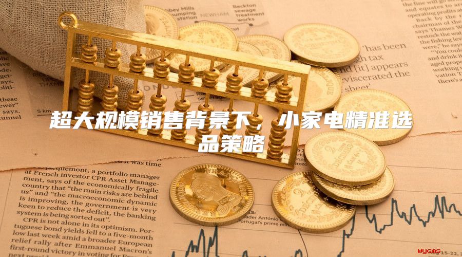 超大规模销售背景下，小家电精准选品策略
