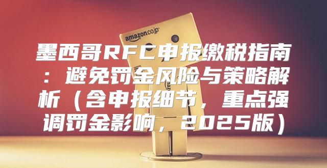 墨西哥RFC申报缴税指南：避免罚金风险与策略解析含申报细节，重点强调罚金影响，2025版