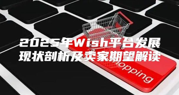 2025年Wish平台发展现状剖析及卖家期望解读