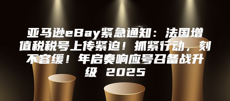 亚马逊eBay紧急通知：法国增值税税号上传紧迫！抓紧行动，刻不容缓！年启奏响应号召备战升级 2025