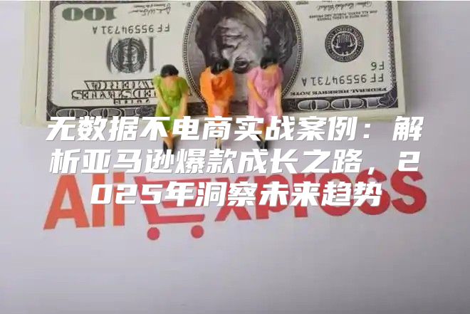 无数据不电商实战案例：解析亚马逊爆款成长之路，2025年洞察未来趋势